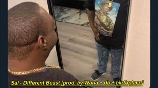Sal - Different Beast [prod. by Wana + db + biirthplace]