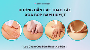 Bài Giảng Hướng Dẫn Các Thao Tác Xoa Bóp Bấm Huyệt - Học Bấm Huyệt