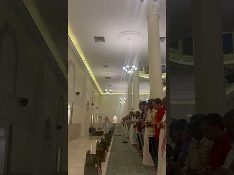 عبدالعزيز الصديقي