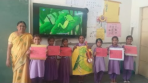 THE  LAZY  GRASSHOPPER   3rd  class