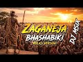 Zaganeja Bhashabiki Kolasi Version By Dj Msix 