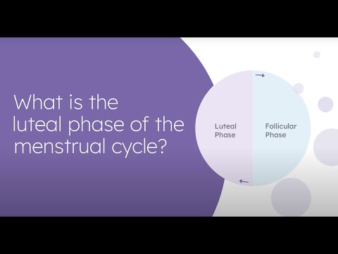 Video: Perinatal psykolog: utbildning och funktioner i yrket