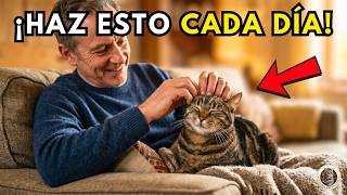 Haz Estas 7 Cosas Cada Día y Tu Gato Sabrá Que Lo AMAS