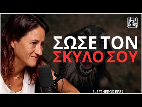 Βίντεο: Η επιστήμη των κροκάλων