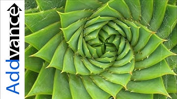 Sum of a Geometric Series | A-level and IB Maths 😊👍 Addvance Maths