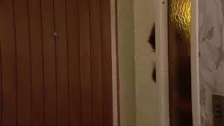 Y Videos Of Hot Girl