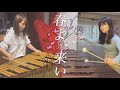 春よ、来い【マリンバ・ヴィブラフォンデュオ】