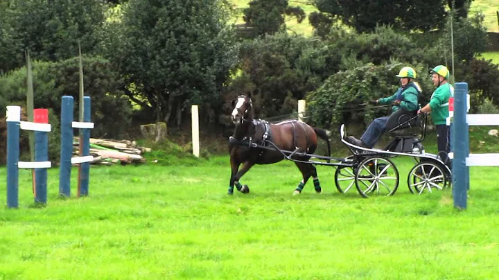 Irish National Championship Rathdrum 2013 ..Dawn O...