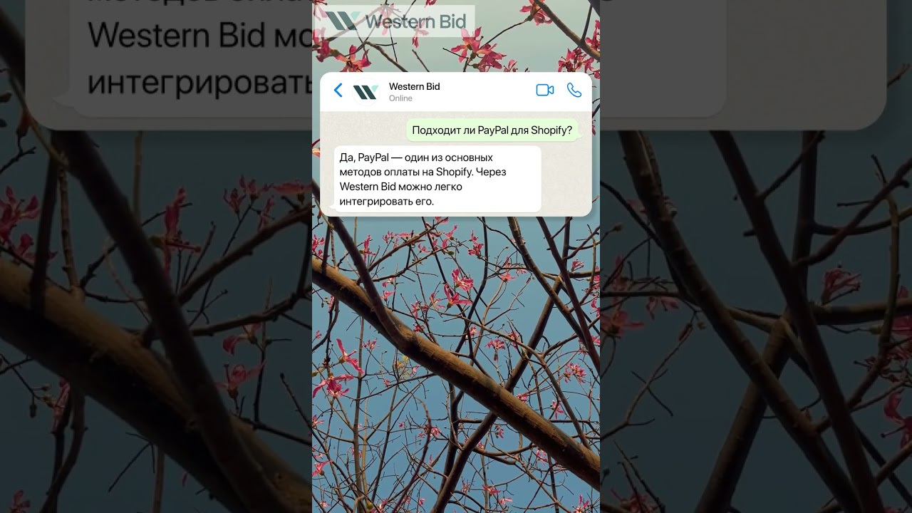 Как подключить paypal к сайту