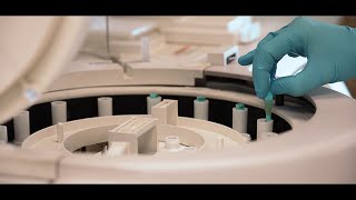 Insuto De Nutrición Y Salud Universidad De Navarra