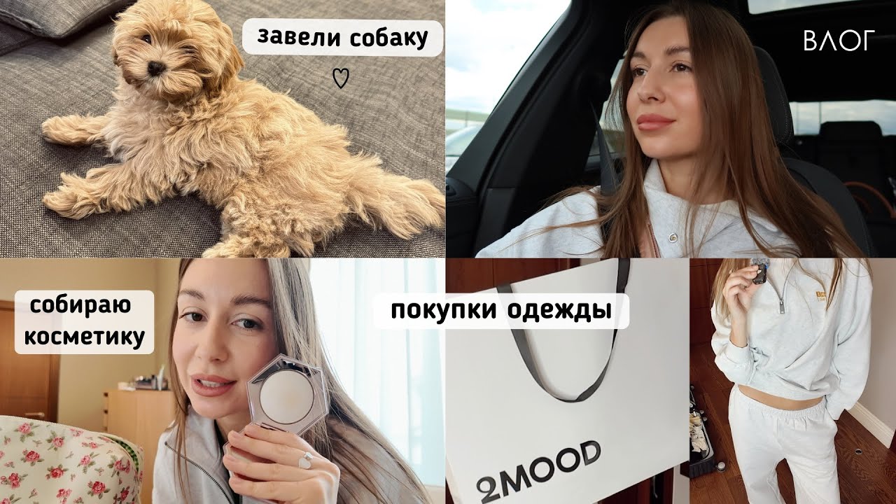 VLOG | покупки одежды и обуви, завели собаку, собираю косметичку в поездку, румтур дубль дома