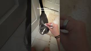 lol what a freak!! Why does he like this?