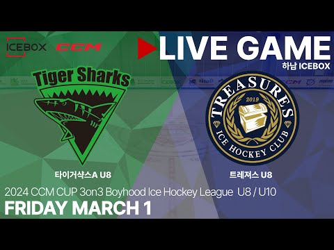 LIVE • 타이거샥스A U8 vs 트레져스 U8 • 2024 CCM CUP 3on3 유소년 아이스하키대회 (U8 / U10) • 2024. 3. 1