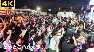 【肉フェス 2026】とっとこハム太郎　「ハム太郎とっとこうた」/ オタ芸 ヲタ芸 コール やぐらお台場 Meat Fes