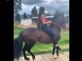 what happens when women ride horses