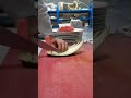 How to Create Amazing Watermelon Art Plate Decoration | Creative Fruit Cutting Idea