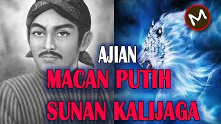 misteri dan kegunaan ajian macan putih sunan kalijaga