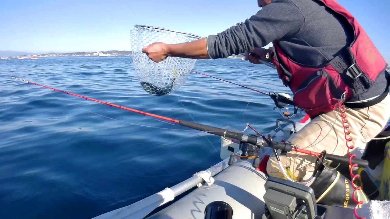 2馬力ゴムボート2019 11 16 葉山コマセ五目釣り