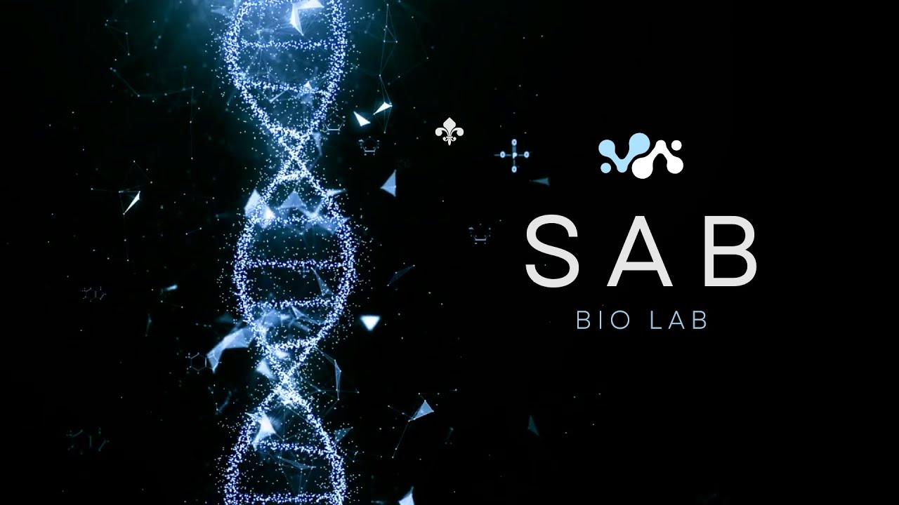 Potato Cell Investigation