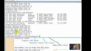 ITS 224 Linux Ch 5 Part 3   sed