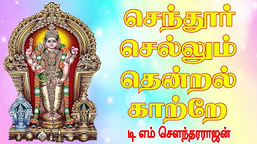 செந்தூர் செல்லும் தென்றல் | Senthoor Sellum Thendral #murugansongs #tms #soundararajan  | Num Nila