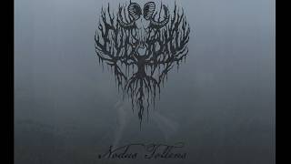 Download lagu Eydophi - Nodus Tollens (2026) (New Full Album)