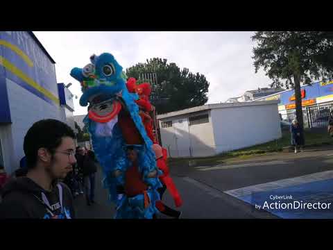 Video: Paris-Roubaix 2022: Leej twg yog tus nyiam?