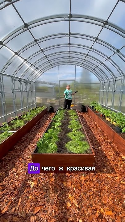 Грядки и дорожки в теплице 😍 - YouTube