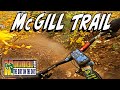 Flowing in Fall on the McGill Trail - Mt Pinos, CA