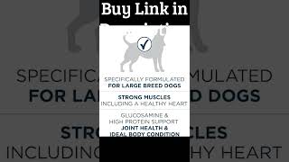 Purina ONE Plus Large Breed Adult Dog Food Dry Formula