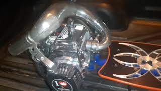 GOPED GSR Cruiser