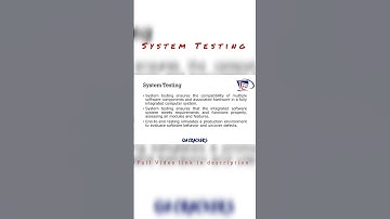 System Testing | QA Crackers | Shorts