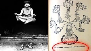 Download Lagu Het taoïstische boek dat alles verandert | Het geheim van de gouden bloem MP3 Download Lagu Het taoïstische boek dat alles verandert | Het geheim van de gouden bloem MP3