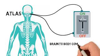 Upper Cervical Care in Zeeland, MI