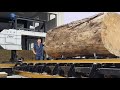 Incredible Fastest Automatic Sawmill Run Around System. Best Wood Cutting Machine Modern Technology