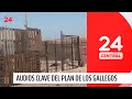 El plan de los gallegos para apoderarse del norte audios clave  24 horas tvn chile