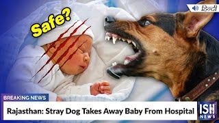Rajasthan: Stray Dog Takes Away Baby From Hospital  | ISH News