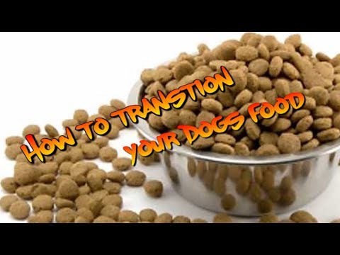 Video: How To Transfer A Dog To A Different Food