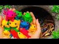 I Found Axolotls in Giant Colorful Eggs, Aquarium Fish, Frogs, Discus Fish, Pencil Fish, Tazan Guppy