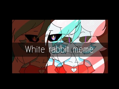 white-rabbit-meme-(loop)