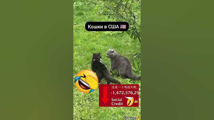 Китай в переди мира #meme #memes #мем #смешнойшортс #мемас #прикол #смешновидео  #fire tiger #shorts