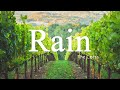 Rain - The Corrs [Lyrics + Vietsub]