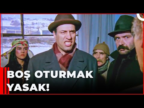 Kanunu Değiştiriyorum! | Deli Deli Küpeli