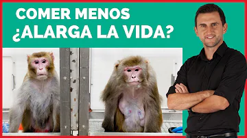 ¿Comer menos alarga la vida?