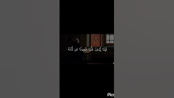 ✨لا تنسوا قراءة سورة الكهف جزاكم الله خيرا✨ #اكسبلور #المصحف #قران_كريم #صلي_علي_سيدنا_محمدﷺ