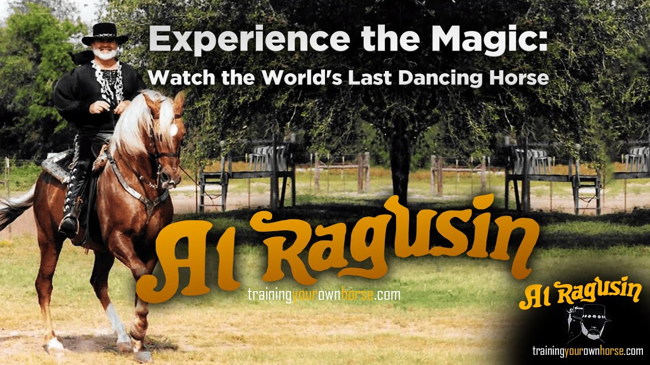 Experience the Magic: Watch the World's Last Dancing Horse and Al ...