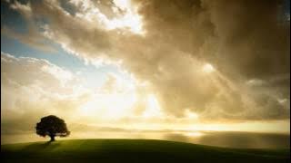 Wippenberg - Pong (Original Mix)