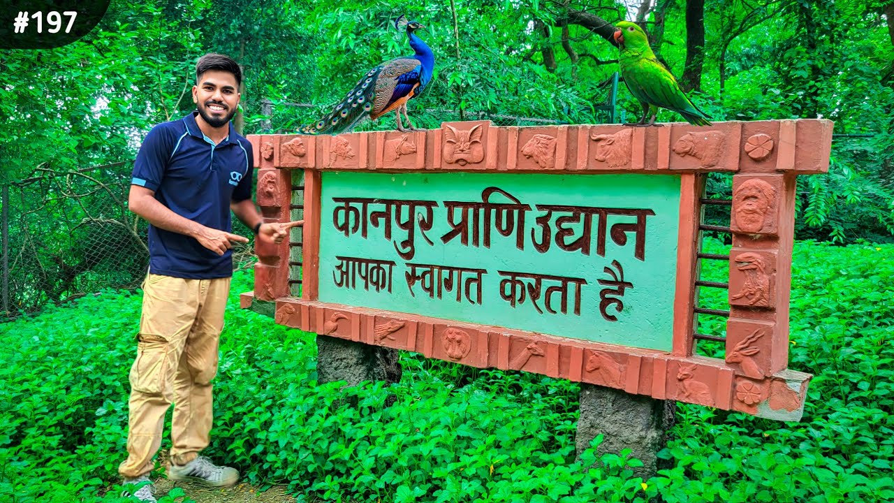 Kanpur Zoo Vlog 2025 | Allen Forest Zoo Full Tour | Best Wildlife Place in Uttar Pradesh