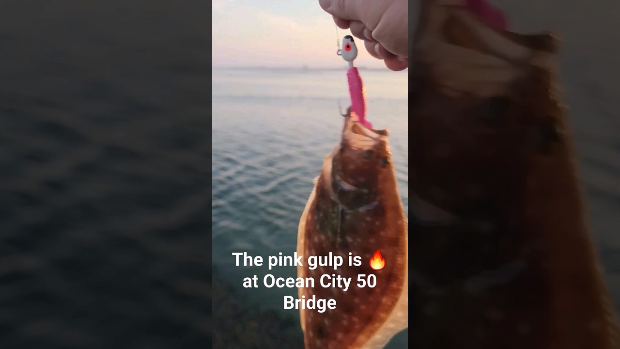 They Love the Pink Gulp 