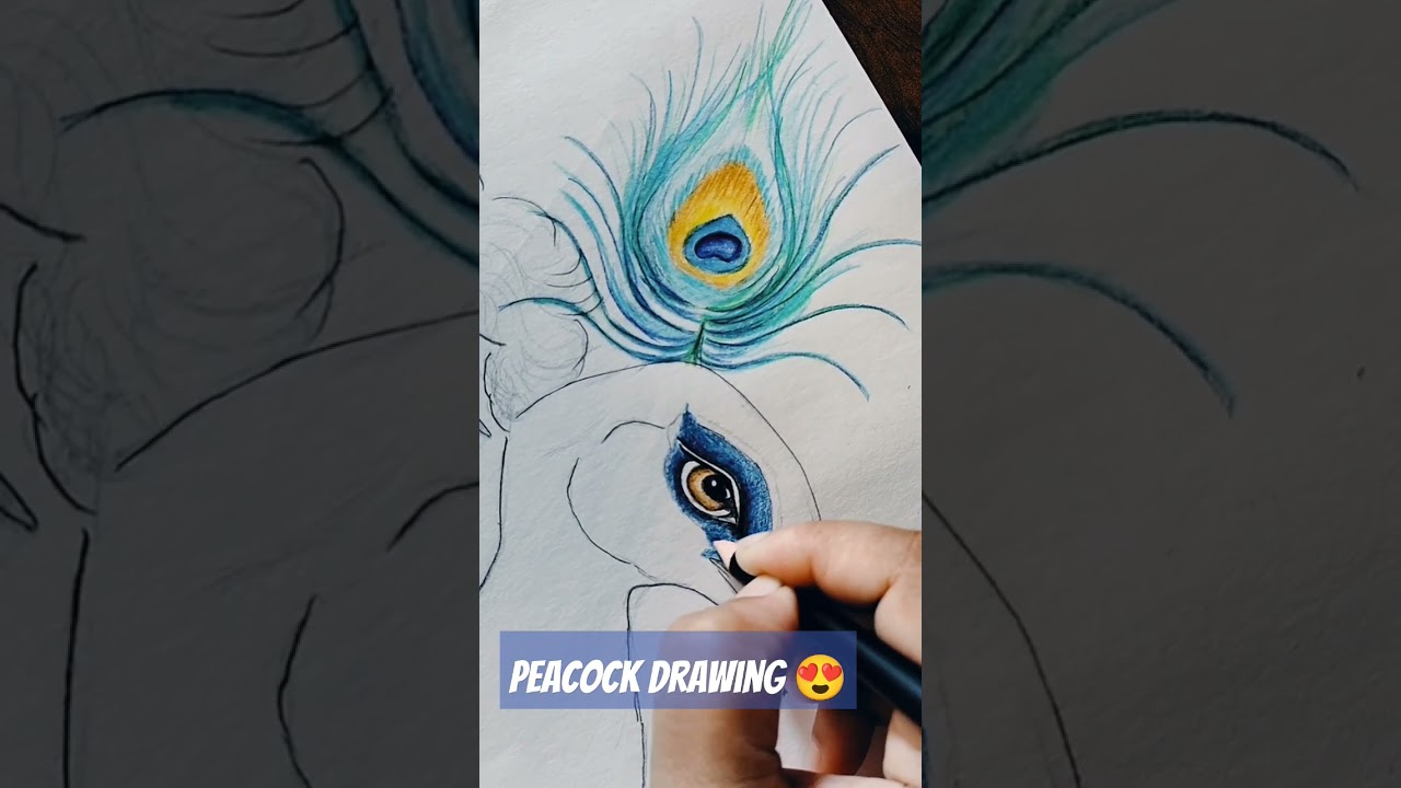 Peacock eye drawing😍❤️ 